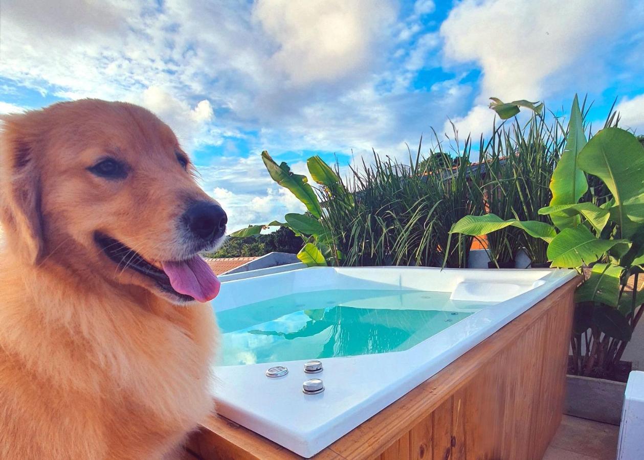 Vila Pitangueira - Apto Laranja - No Centro De Serra Grande Com Piscina, Jacuzzi, Internet Veloz Eksteriør billede